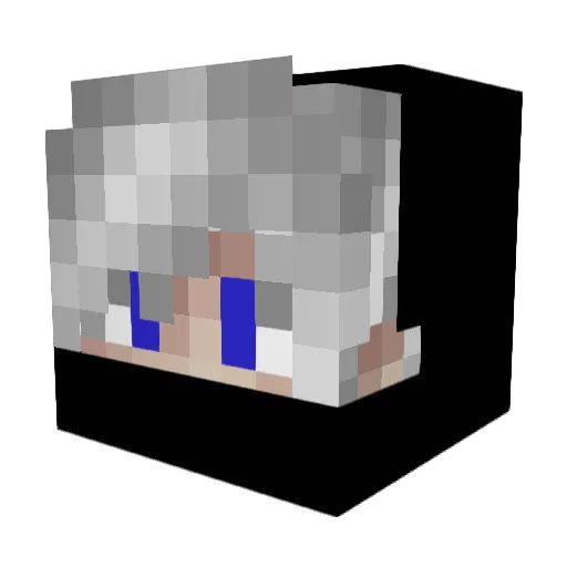 Remag_TNM Minecraft avatar head, 3D render