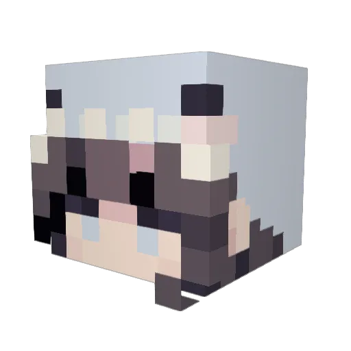 RemainElusive Minecraft avatar head, 3D render