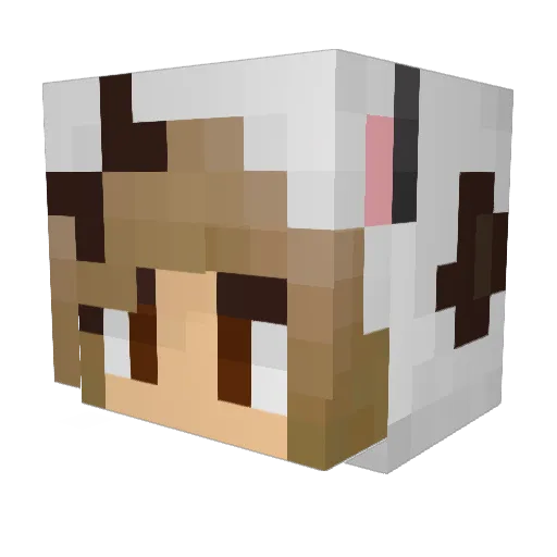 RembusLwG Minecraft avatar head, 3D render