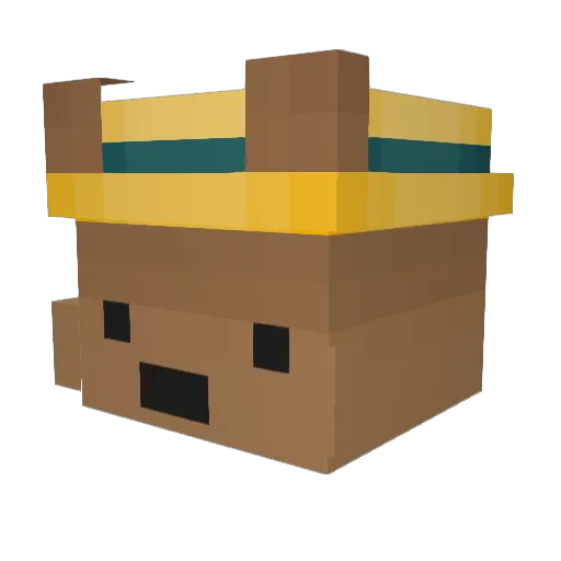 Remcoetje Minecraft avatar head, 3D render