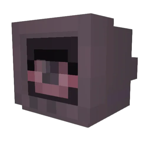 RemedialCookie Minecraft avatar head, 3D render