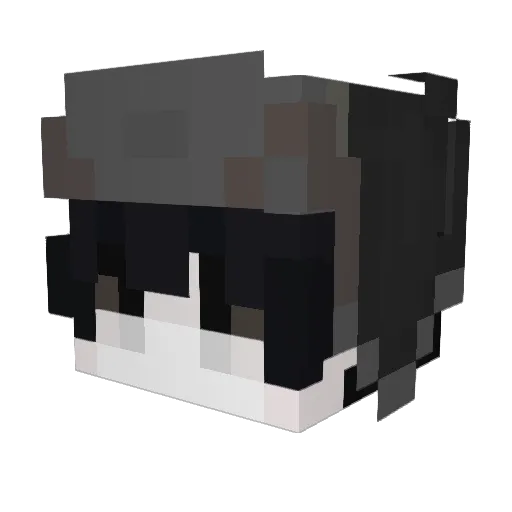 RemedialLamb47 Minecraft avatar head, 3D render