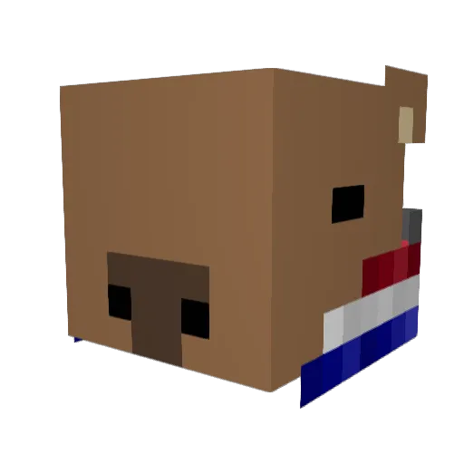 Remedicc Minecraft avatar head, 3D render