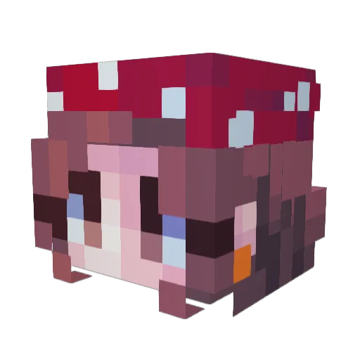 RemedysHeart_ Minecraft avatar head, 3D render
