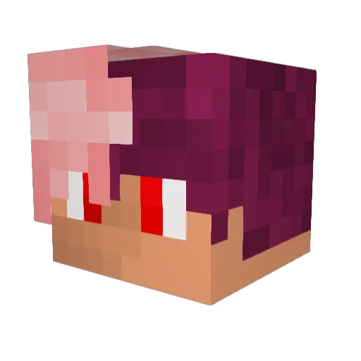 Rememm Minecraft avatar head, 3D render