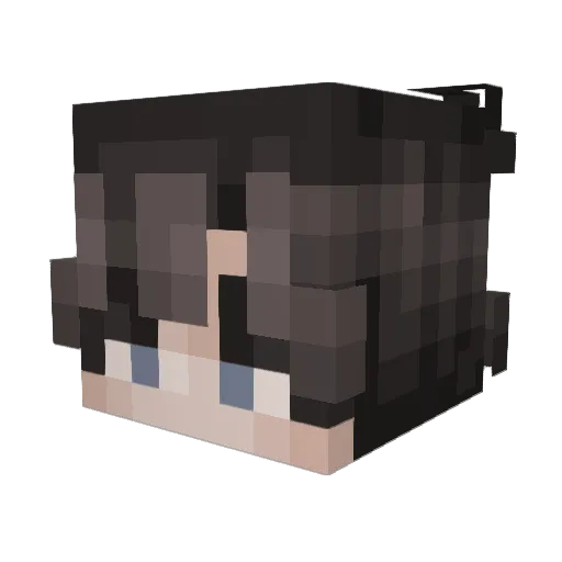 Remi4249 Minecraft avatar head, 3D render