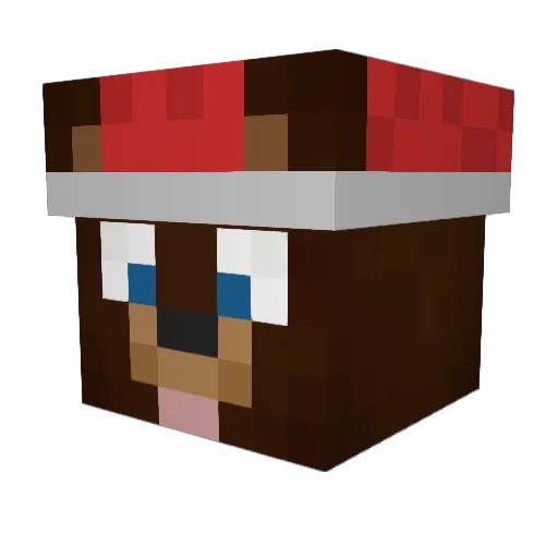 RemiEKSDEE Minecraft avatar head, 3D render