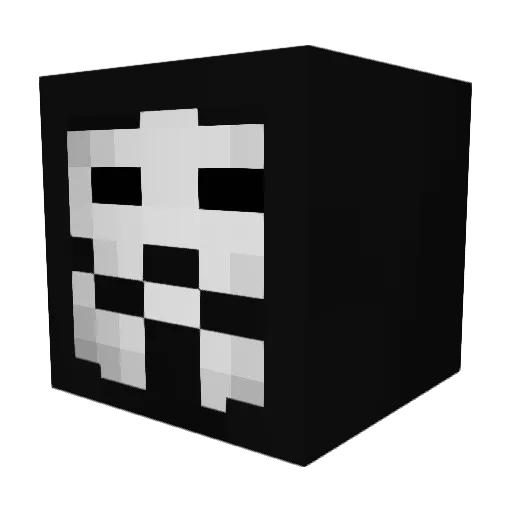 Remigiusz12 Minecraft avatar head, 3D render