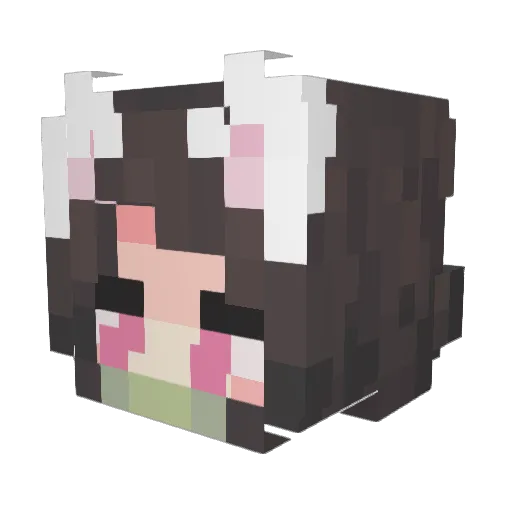 Remin07 Minecraft avatar head, 3D render