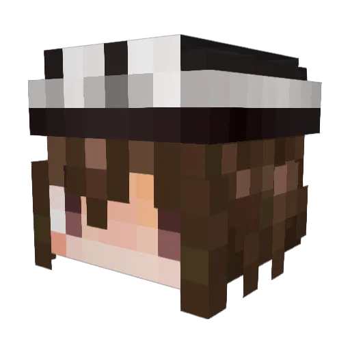 Remins_05 Minecraft avatar head, 3D render