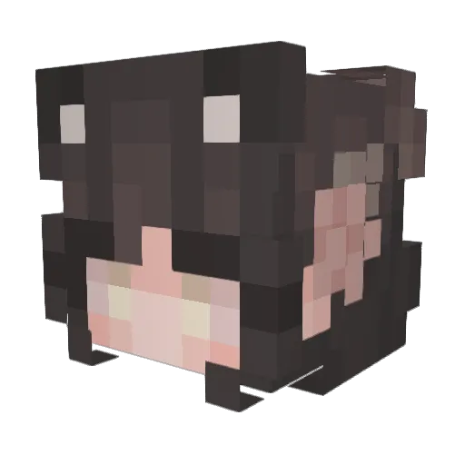 Remiune Minecraft avatar head, 3D render