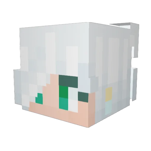 RemixRaptor13 Minecraft avatar head, 3D render