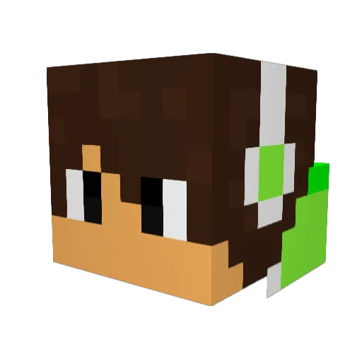 RemixReemas1 Minecraft avatar head, 3D render