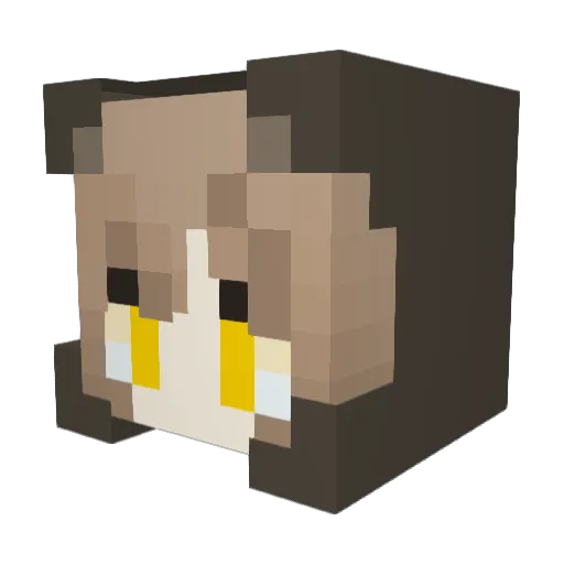 Remm9 Minecraft avatar head, 3D render