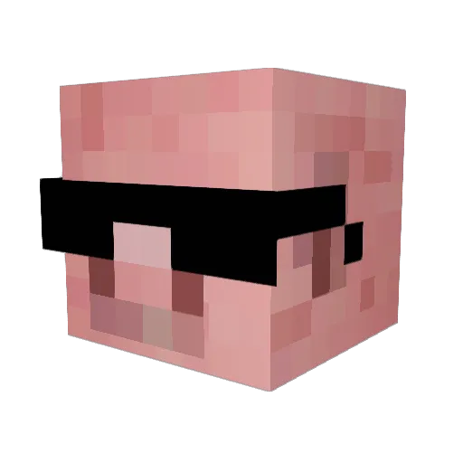 Remmer123 Minecraft avatar head, 3D render