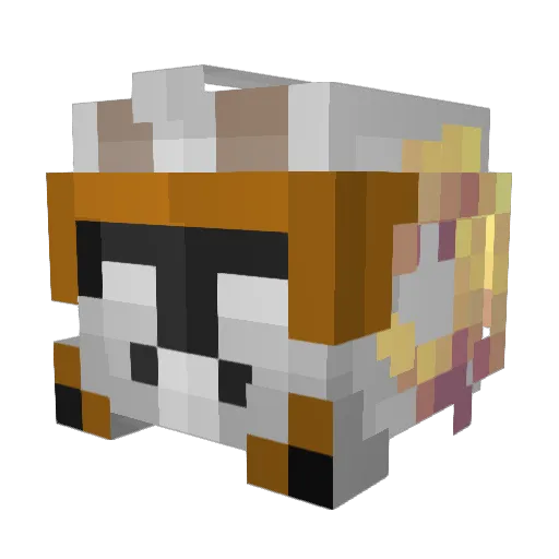 Remmieh21 Minecraft avatar head, 3D render