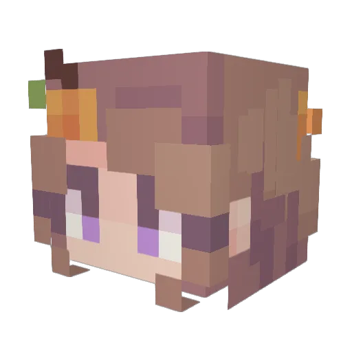 Remmiemmyjr Minecraft avatar head, 3D render