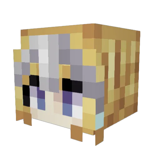Remno486 Minecraft avatar head, 3D render