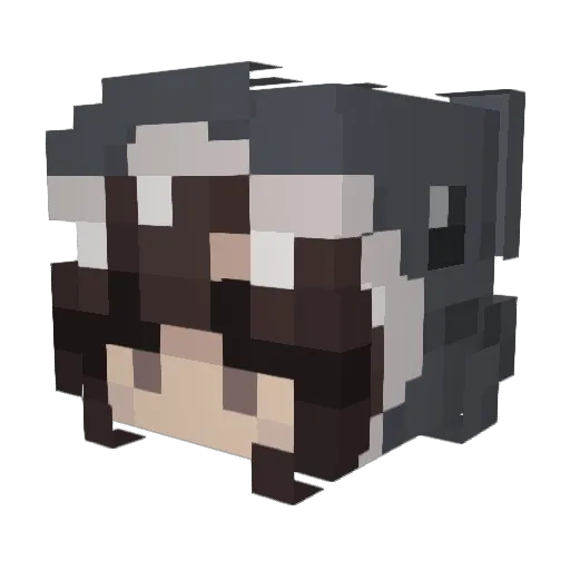 Remski_ Minecraft avatar head, 3D render