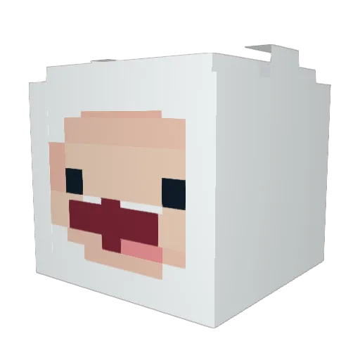 Remus18 Minecraft avatar head, 3D render