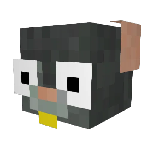 Remus_Ente Minecraft avatar head, 3D render