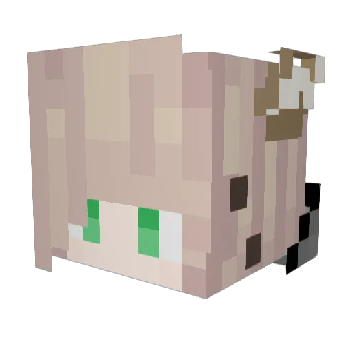 RemyWiz Minecraft avatar head, 3D render
