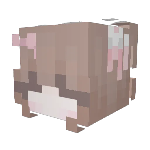 Remytherat4435 Minecraft avatar head, 3D render