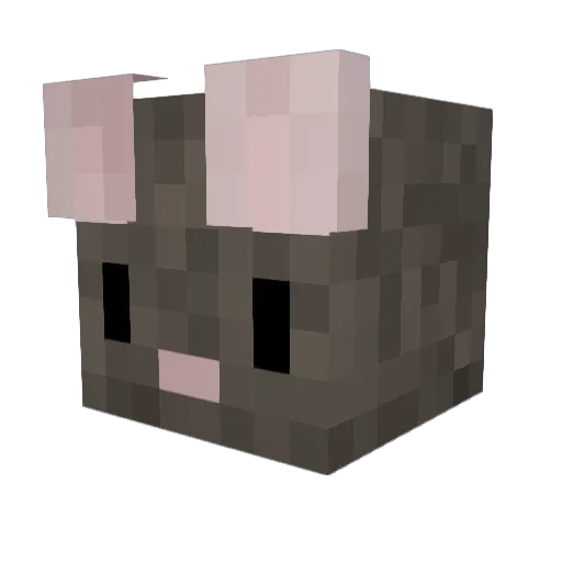 Remytherattt Minecraft avatar head, 3D render
