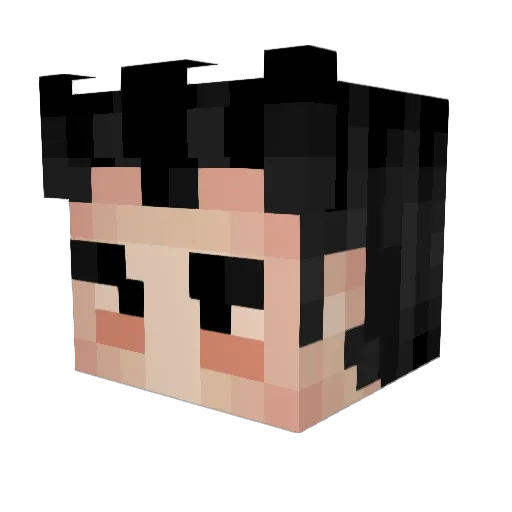 Remz Minecraft avatar head, 3D render