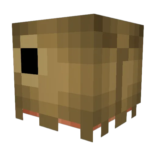 Ren0509 Minecraft avatar head, 3D render