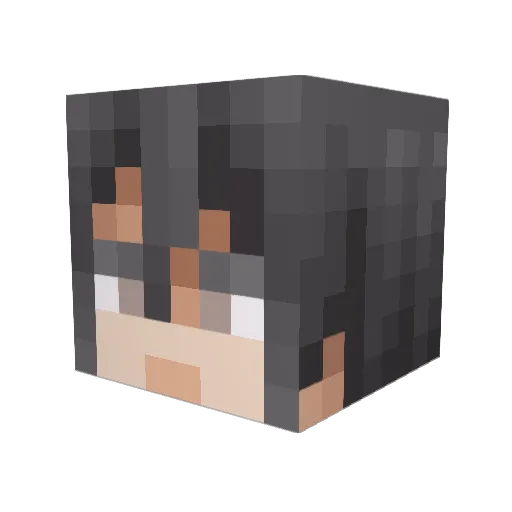 Ren1125 Minecraft avatar head, 3D render