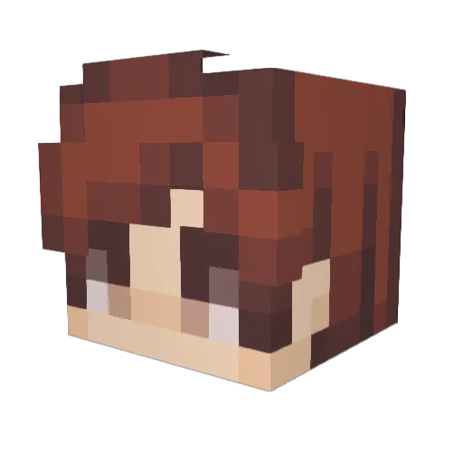 Ren1218 Minecraft avatar head, 3D render