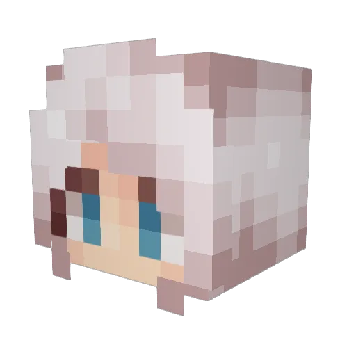 Ren496 Minecraft avatar head, 3D render