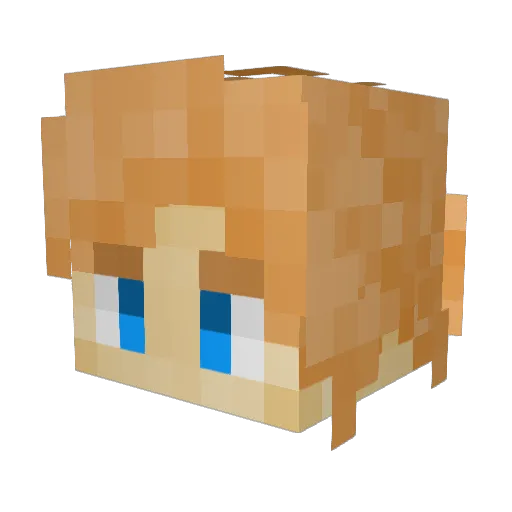 RenAustin Minecraft avatar head, 3D render