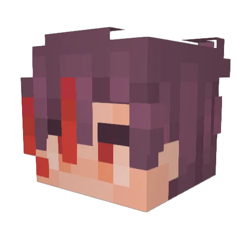 RenNoctis Minecraft avatar head, 3D render
