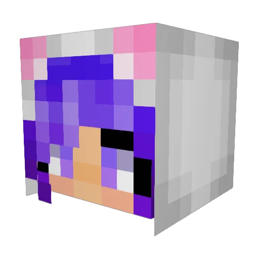 RenPlayz Minecraft avatar head, 3D render