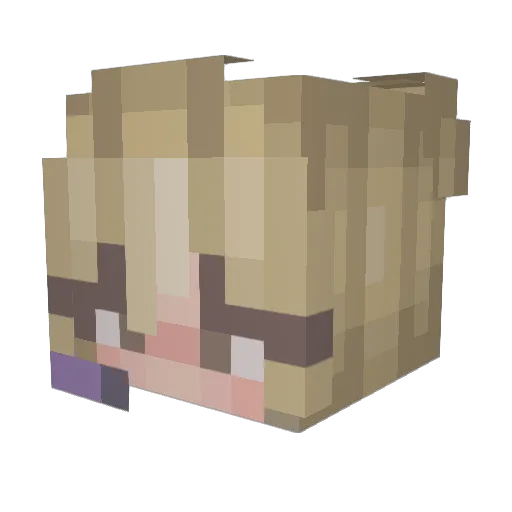 RenTheBean Minecraft avatar head, 3D render