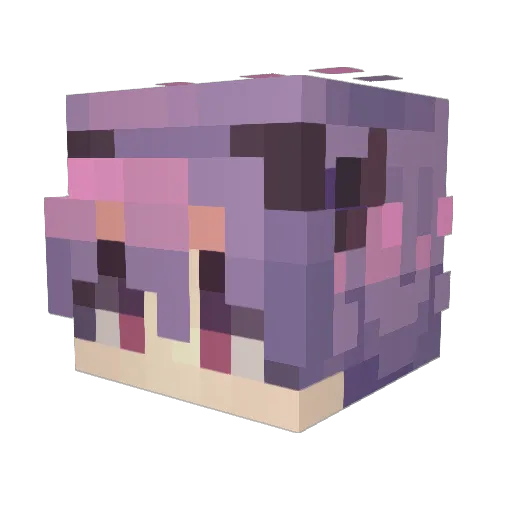 Ren_397 Minecraft avatar head, 3D render
