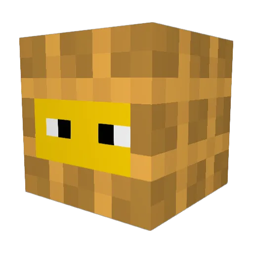 Ren_Rules Minecraft avatar head, 3D render