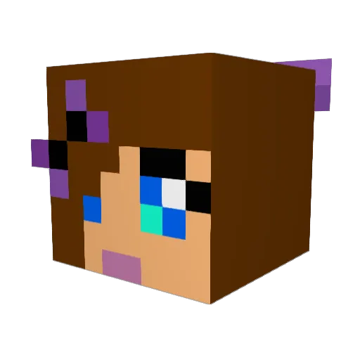 Rena0o0 Minecraft avatar head, 3D render