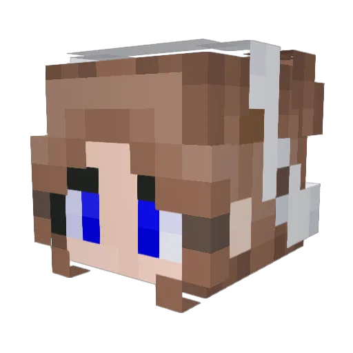 RenaL8 Minecraft avatar head, 3D render