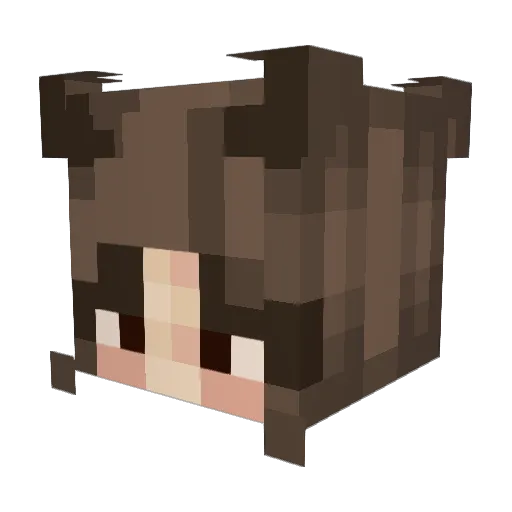 RenaSolice Minecraft avatar head, 3D render