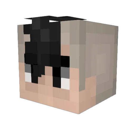 Rena_br Minecraft avatar head, 3D render