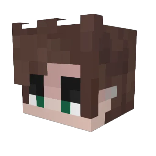 Renaissancebat Minecraft avatar head, 3D render