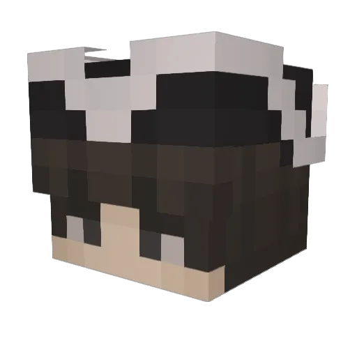 Renaissances Minecraft avatar head, 3D render