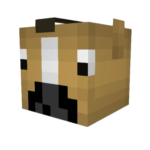 Renakun Minecraft avatar head, 3D render