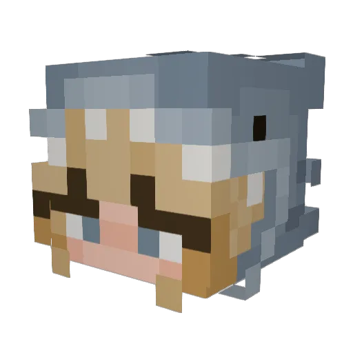 Renanaa Minecraft avatar head, 3D render