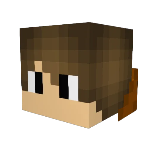 Renarc28 Minecraft avatar head, 3D render