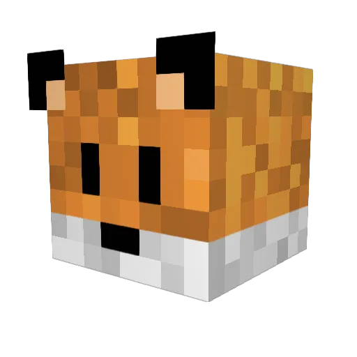 Renard5 Minecraft avatar head, 3D render