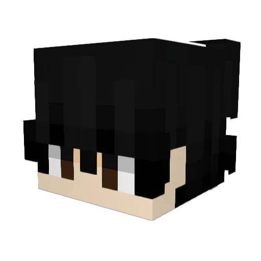 RenardCraft Minecraft avatar head, 3D render